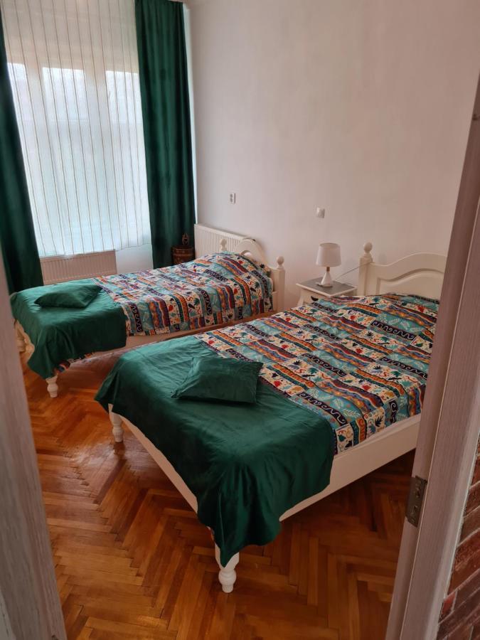Stradela Cetatii Apartment Сигишоара Екстериор снимка
