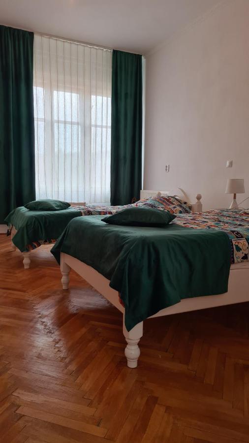 Stradela Cetatii Apartment Сигишоара Екстериор снимка